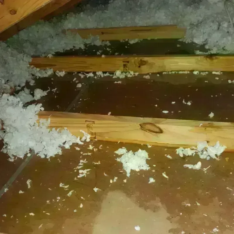 Attic Water Damage in Blairsville, GA