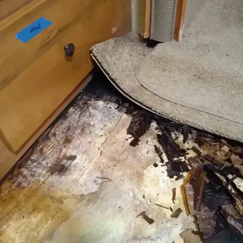 Best Wood Floor Water Damage Service in Blairsville, GA